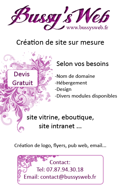flyer bussy's web